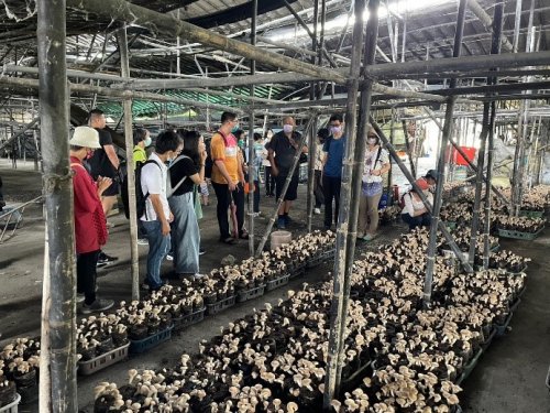 菇類產業創生與食農教育體驗活動-菇園導覽